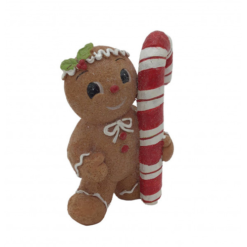 Gingerbread w CandyCane