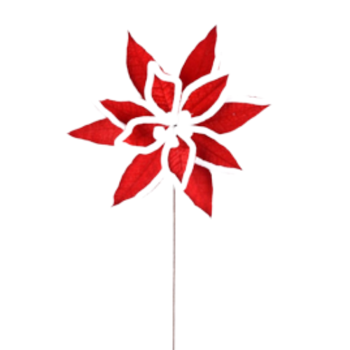 Jester Poinsettia Stem