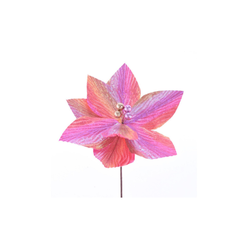 Pink Shimmer Poinsettia