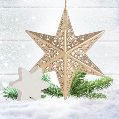 Scentsicles | White Winter Fir 
