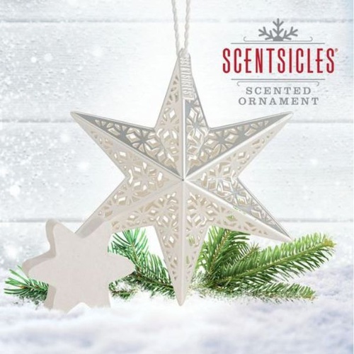 Scentsicles | White Winter Fir 