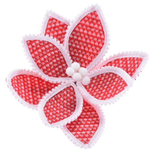 Red White Poinsettia 