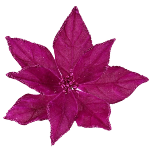 Fuschia Poinsettia Stem