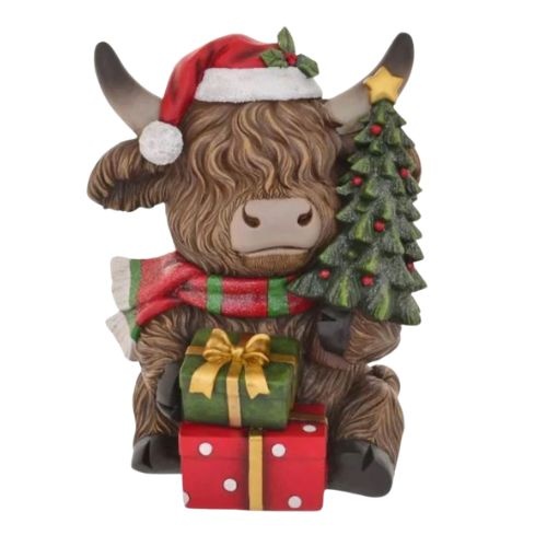 Highland Cow