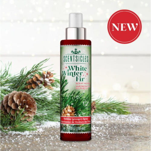 Scentsicles | White Winter Fir 