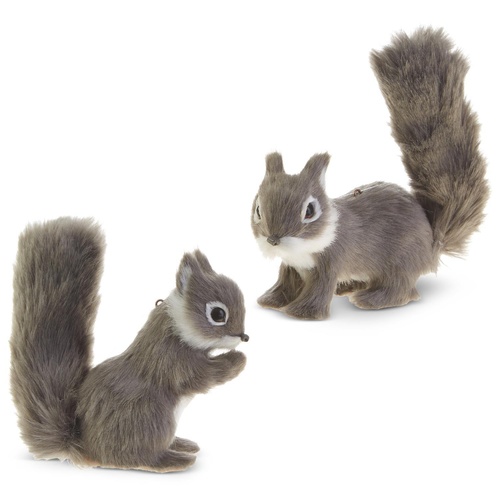 Raz | Squirrels