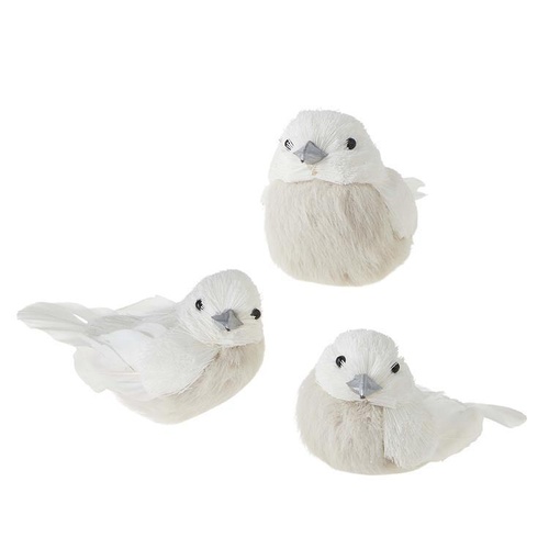 Raz | Natural Noel | White Bird