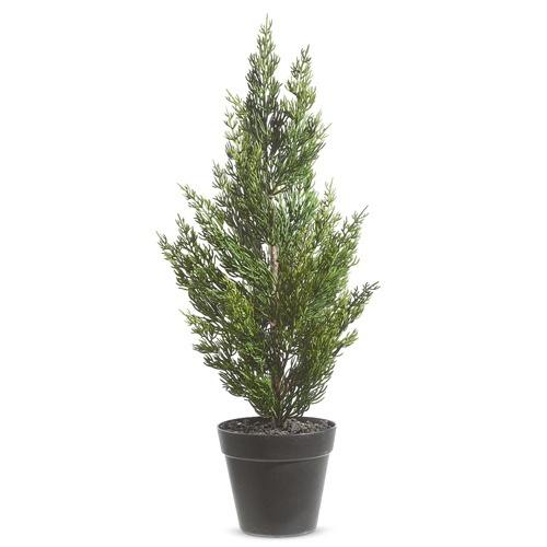 Raz | All is Calm | Potted Cedar Tree
