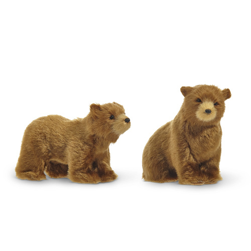 Raz | Brown Bear | HeadUp