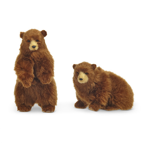 Raz | Brown Bear Standing