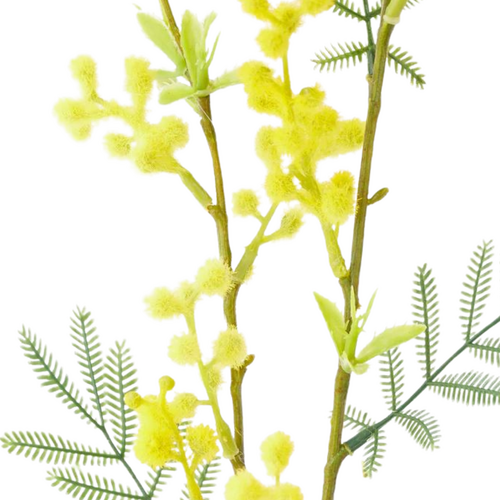 Wattle Spray Yellow