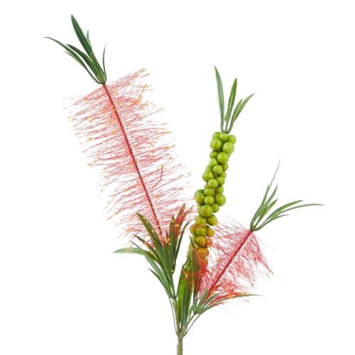Bottle Brush Red