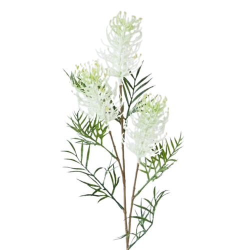 Grevillea Spray Cream