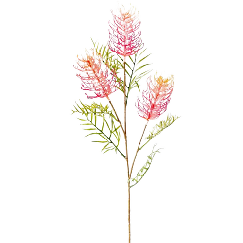 Grevillea Spray Pink