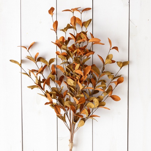 Fall Spray