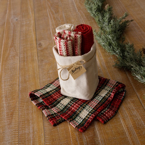 Grandmas Winter Dish Cloth Set