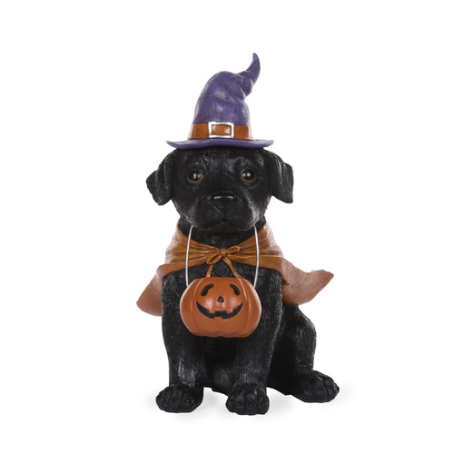 Holly & Ivy | Snape Halloween Dog