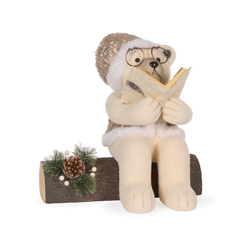 Reading Papa Teddy Bear