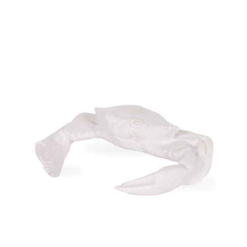 White Large Crab