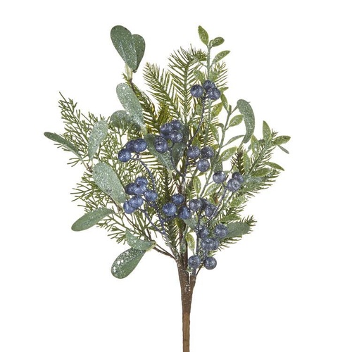Raz | Celebrate the Season | Juniper Pick