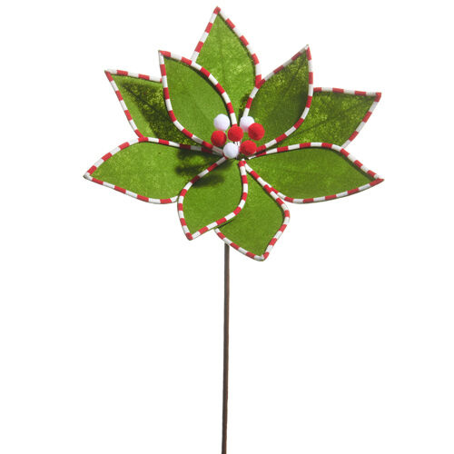 Green Poinsettia w/ Peppermint Edge