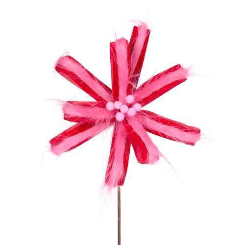 Pink & Red Loop Poinsettia