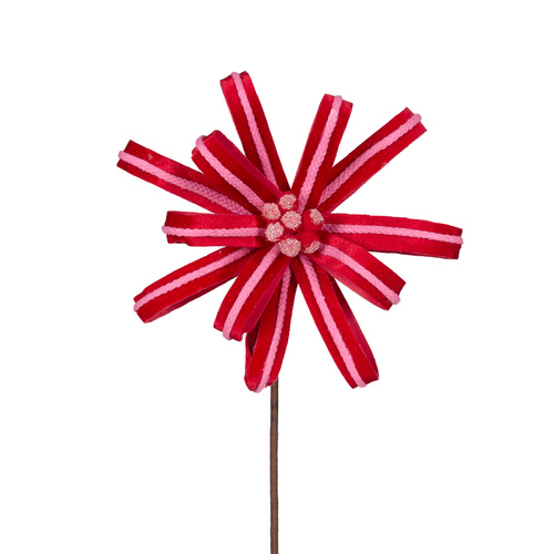 Curly Pink & Red Loop Poinsettia