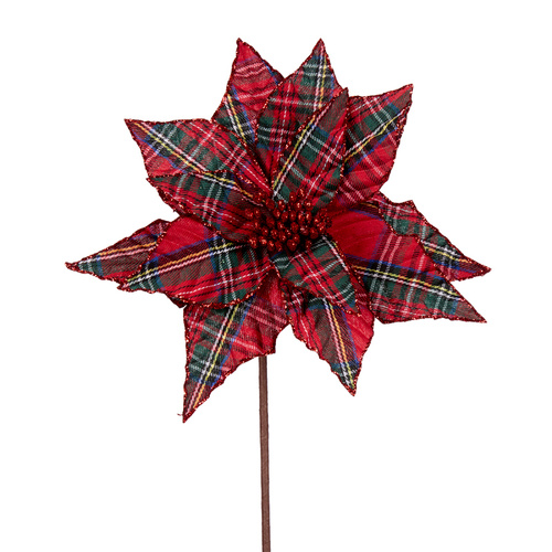 Tartan Poinsettia
