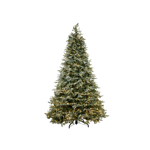 Noble Fir Christmas Tree (7.5ft)