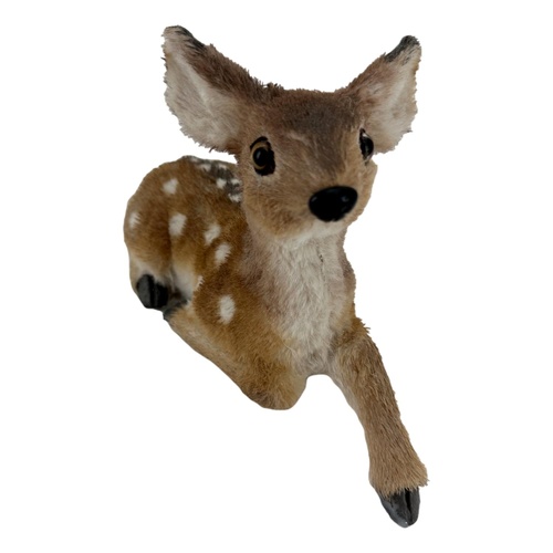 Sitting Forest Deer