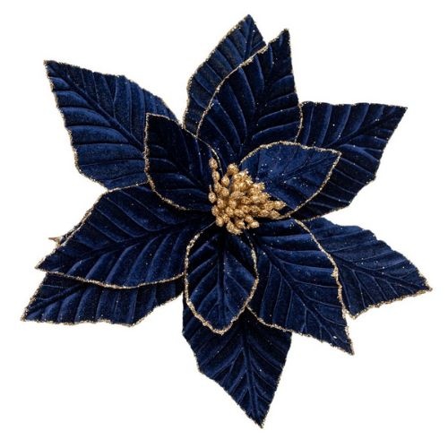 Midnight Blue Poinsettia