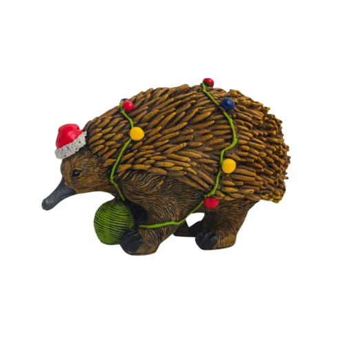 Christmas Echidna