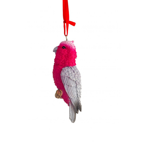 Christmas Galah