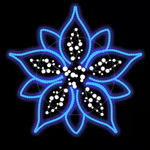 Christmas Flower | Christmas Motif Light