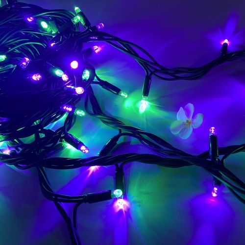 Green-Purple 10m String Light