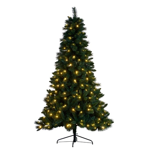 Dorset Pine | Christmas Tree (7.5ft)