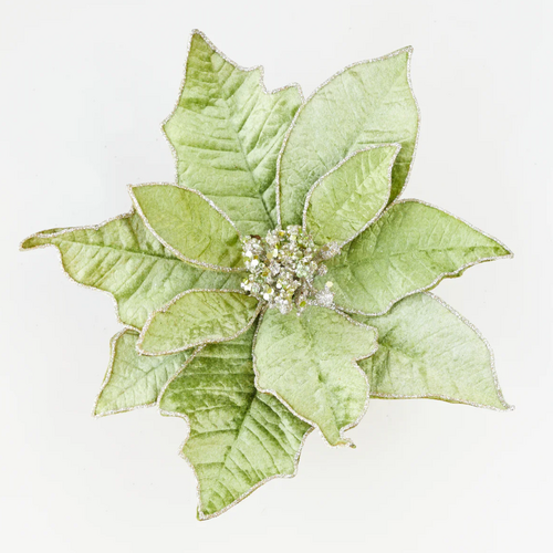 Luxe Green Poinsettia