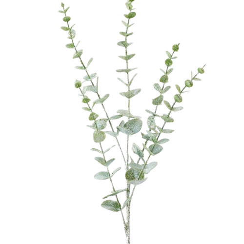 Eucalyptus Spray