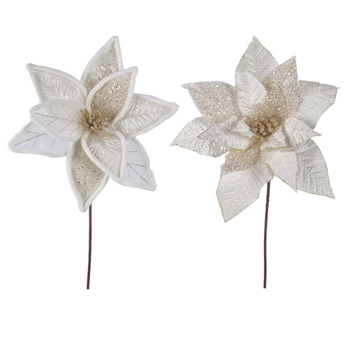 Ivory Poinsettia