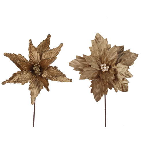 Velour Gold Poinsettia