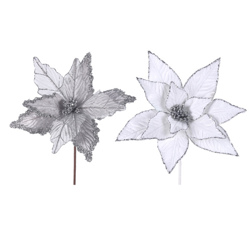 Silver & White Poinsettias