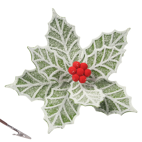 Green Frosted Poinsettia