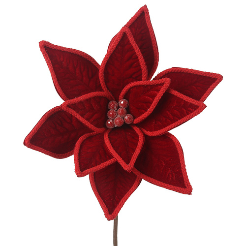 Red Velvet Poinsettia