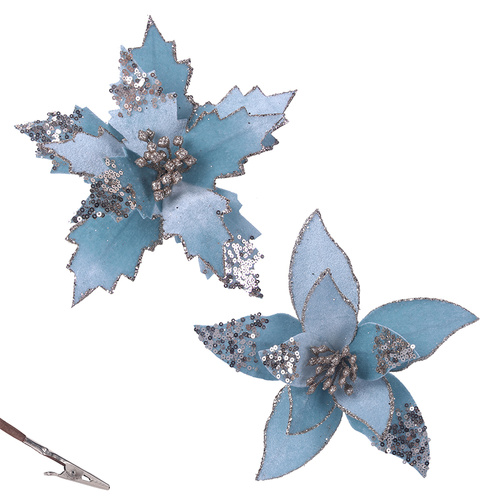 Pale Blue Poinsettia | Sharp