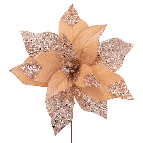 Biscotti w/ Rose Glitter Poinsettia Stem