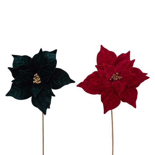 Poinsettia w/Gold Centre Berries Stem