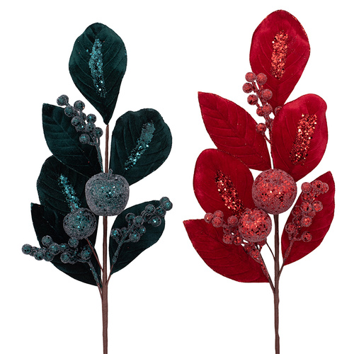 Velvet Leaf w/ Fruit Stem