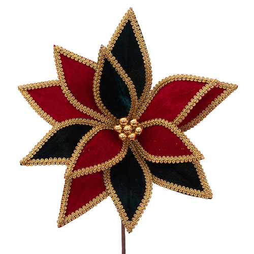 Harlequin Poinsettia w/ Gold Trim