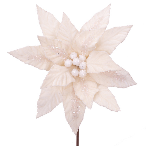 Ivory Velvet Poinsettia