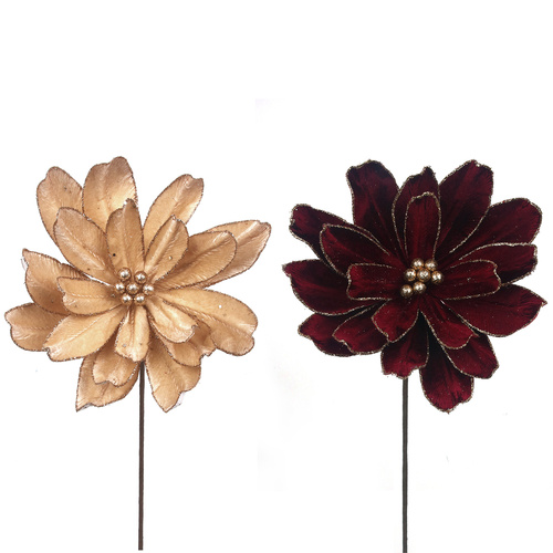 Peony w/ Rose Gold Edging